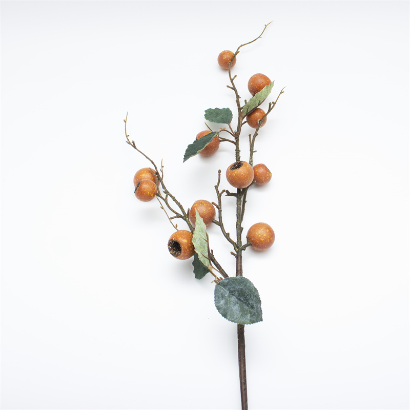 Orange Loquat Fruit Tree Berry Branch