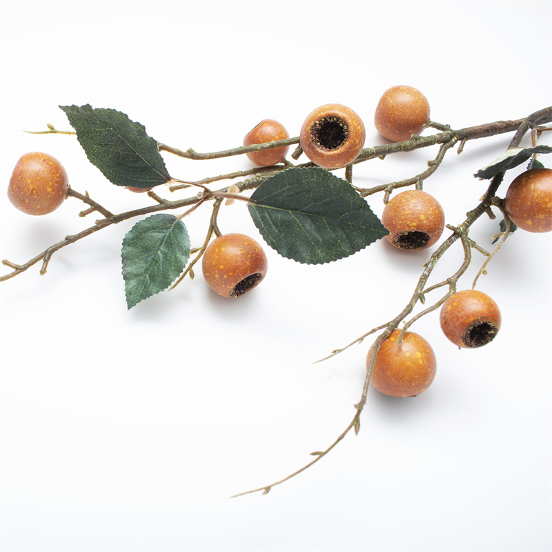 Orange Loquat Fruit Tree Berry Branch