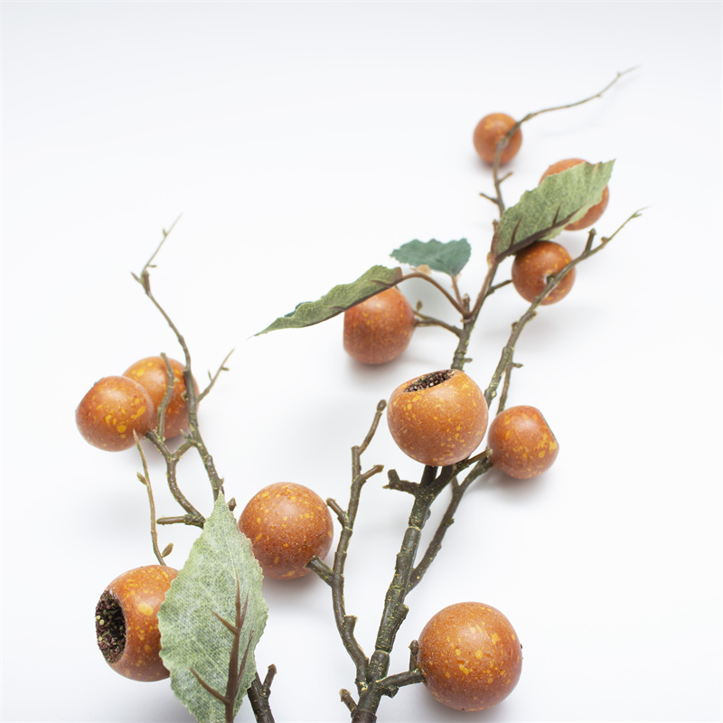 Orange Loquat Fruit Tree Berry Branch