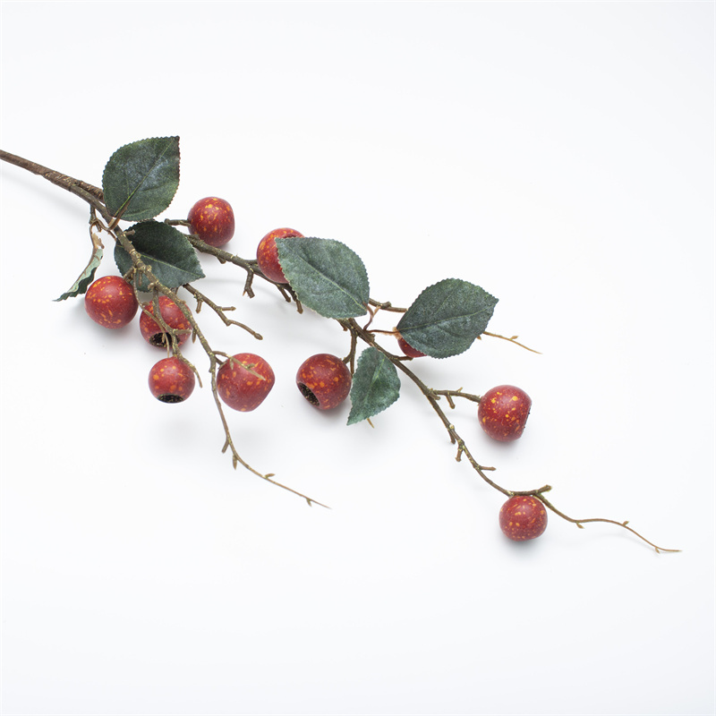 Red Loquat Berry Branch With Leaves