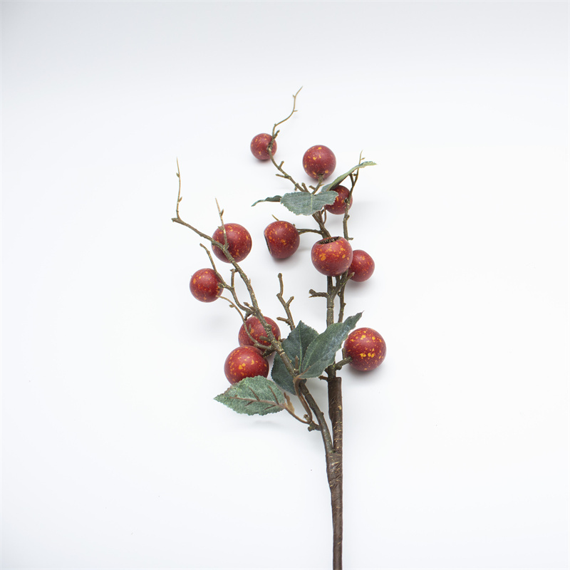 Red Loquat Berry Branch With Leaves