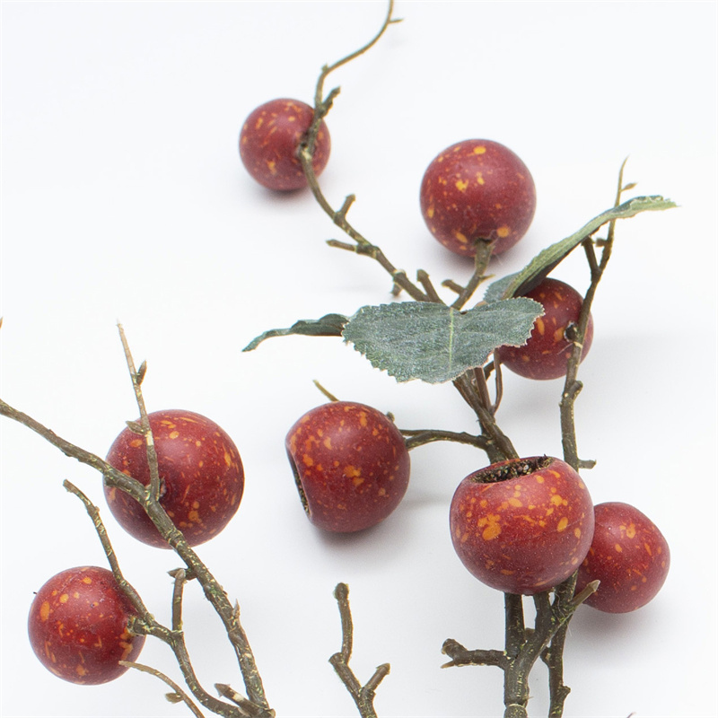 Red Loquat Berry Branch With Leaves