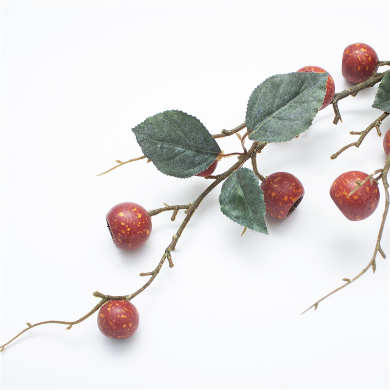 Red Loquat Berry Branch With Leaves