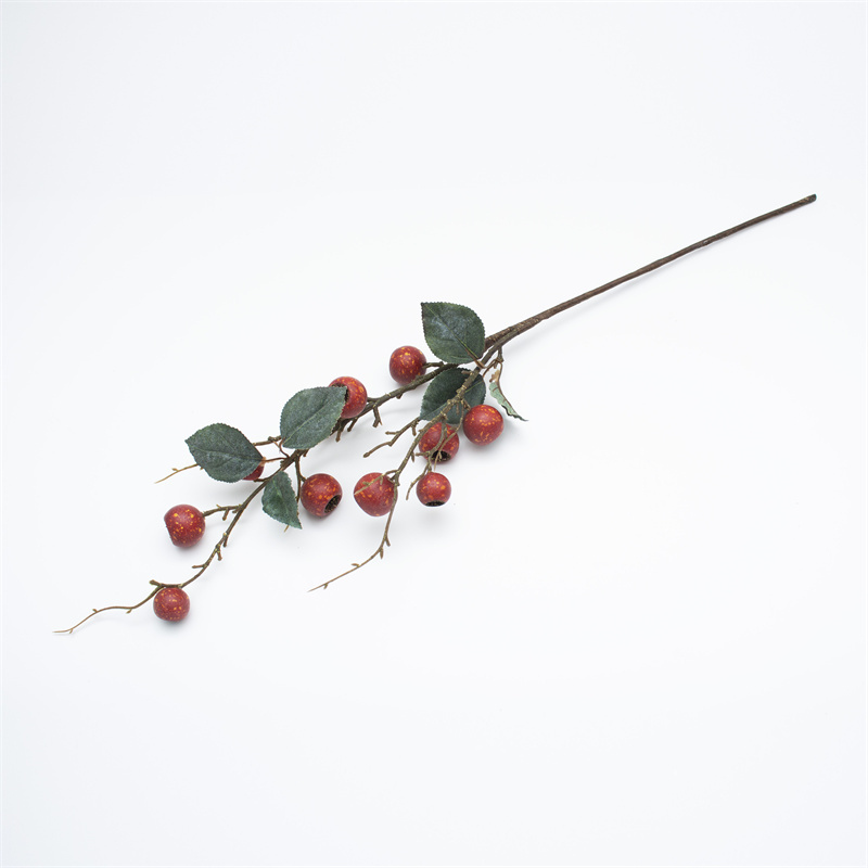 Red Loquat Berry Branch With Leaves