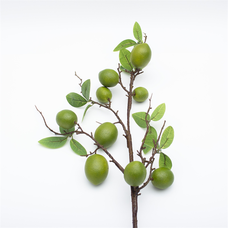 Lemon Fruit Bush Berry Twig 92cm