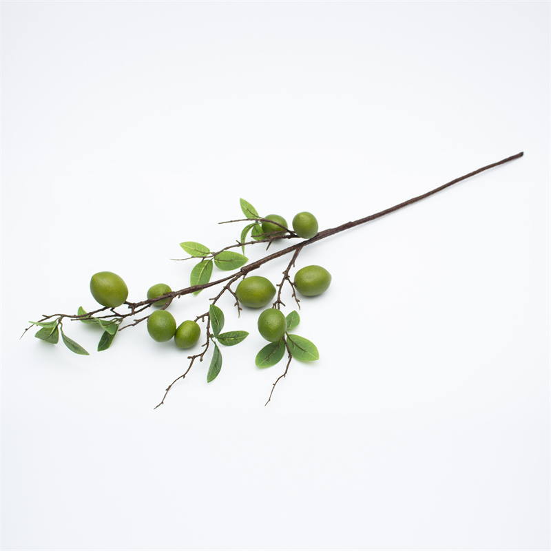 Lemon Fruit Bush Berry Twig 92cm