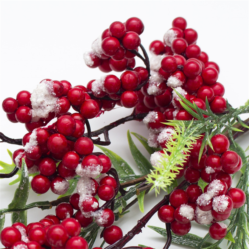 Snowflake Red Berry Eucalyptus Leaves Branch