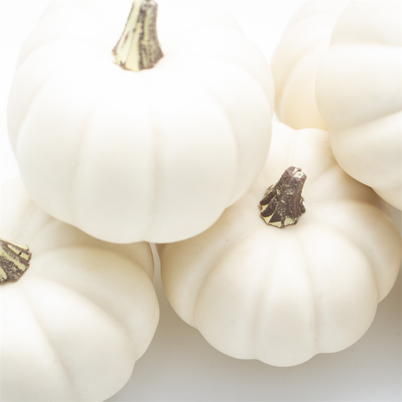 Milky White Small Pumpkin Combination